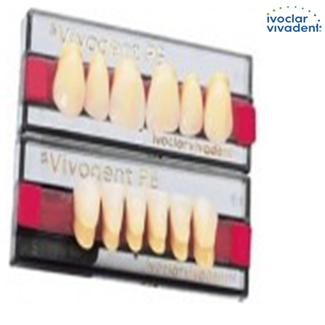 Ivoclar SR Vivodent PE Shade 2C For Anterior teeth (set of 6)